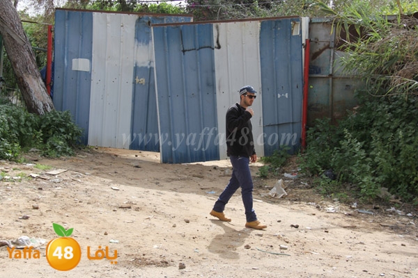 modahama abo kbeer 53 (2).JPG